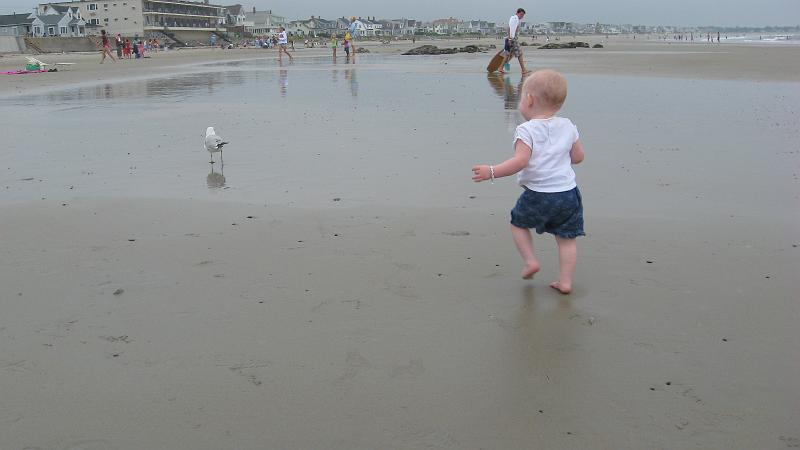 IMG_2609.JPG - She LOVED chasing the sea gulls.